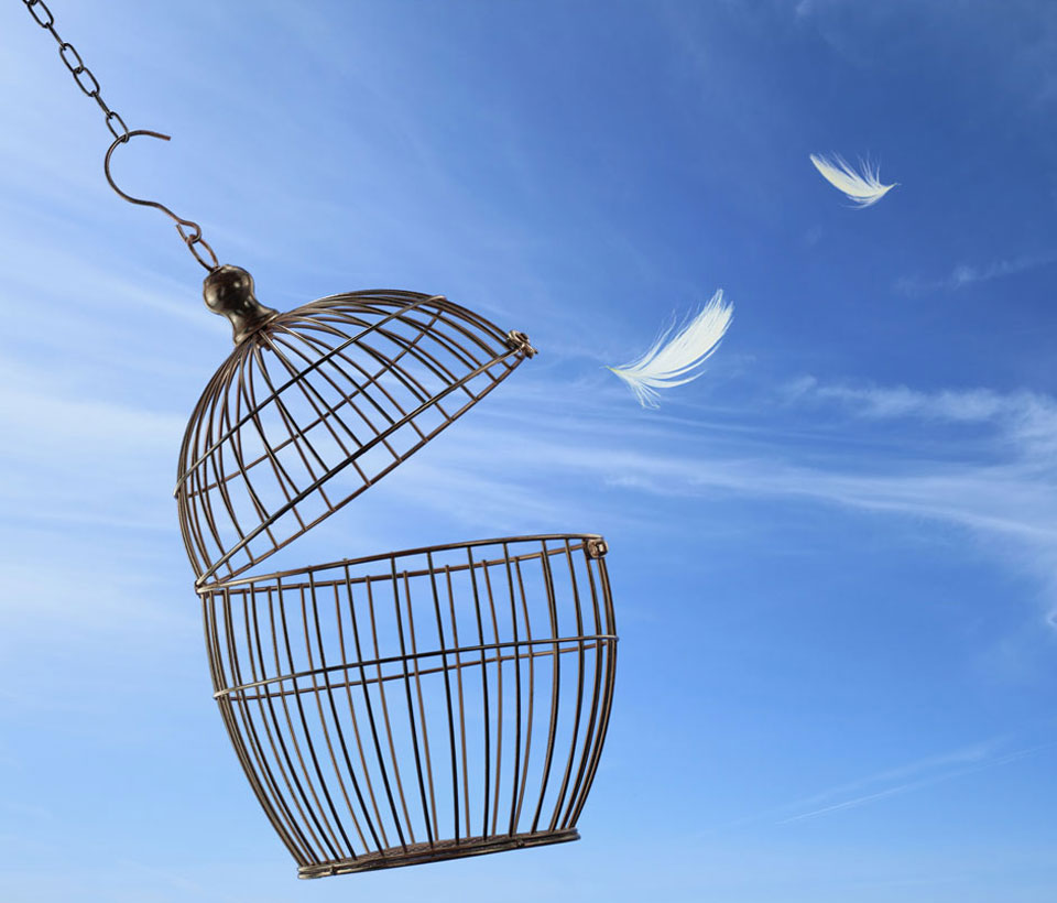 Rewind Therapy sessions for Phobias, Trauma and PTSD in Leeds, West Yorkshire